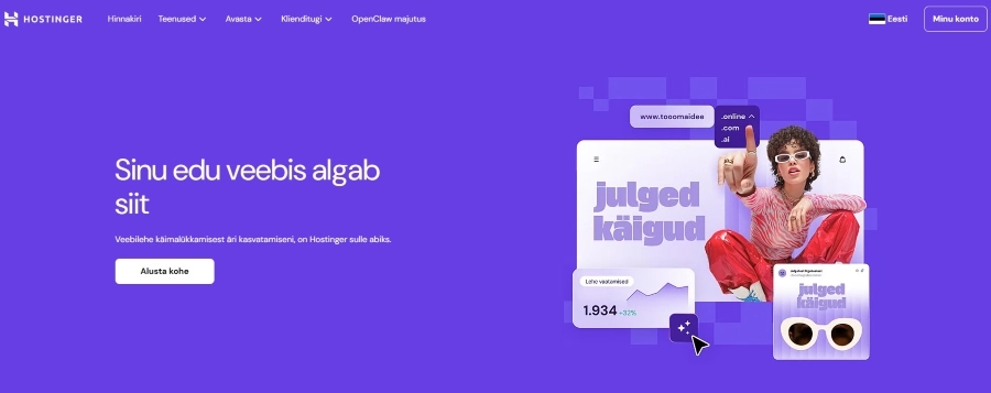 Kuvatõmmis Hostinger.com lehelt