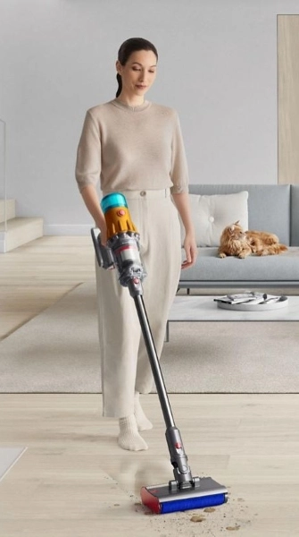 Naine varstolmuimejaga koristamas, taustal hall diivan, millel pikutamas punane kass